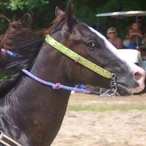 Meet your Posher, Margaret